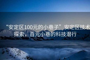 “安定區100元的小巷子”安定區技術探索，百元小巷的科技潛行