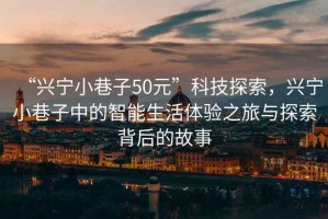 “興寧小巷子50元”科技探索，興寧小巷子中的智能生活體驗之旅與探索背后的故事