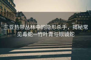 三亞熱帶叢林中的隱形殺手，揭秘常見毒蛇—竹葉青與眼鏡蛇