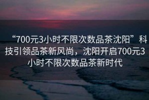 “700元3小時不限次數品茶沈陽”科技引領品茶新風尚，沈陽開啟700元3小時不限次數品茶新時代