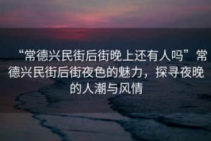 “常德興民街后街晚上還有人嗎”常德興民街后街夜色的魅力，探尋夜晚的人潮與風(fēng)情
