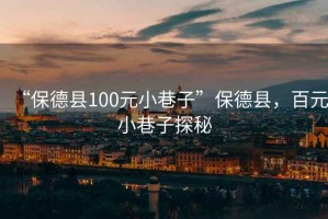 “保德縣100元小巷子”保德縣，百元小巷子探秘