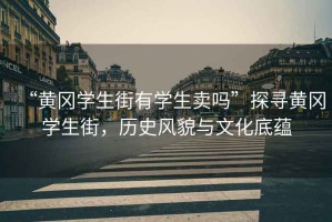 “黃岡學生街有學生賣嗎”探尋黃岡學生街，歷史風貌與文化底蘊