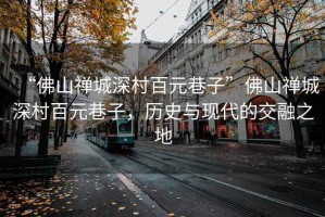 “佛山禪城深村百元巷子”佛山禪城深村百元巷子，歷史與現代的交融之地