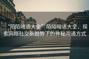 “陌陌暗語大全”陌陌暗語大全，探索網絡社交新趨勢下的神秘溝通方式