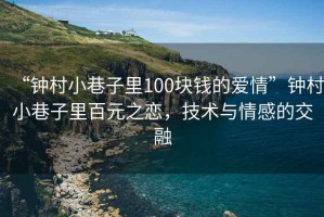 “鐘村小巷子里100塊錢的愛情”鐘村小巷子里百元之戀，技術(shù)與情感的交融