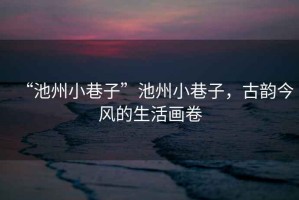 “池州小巷子”池州小巷子，古韻今風的生活畫卷