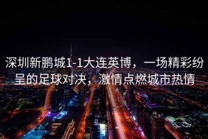 深圳新鵬城1-1大連英博，一場精彩紛呈的足球對決，激情點燃城市熱情