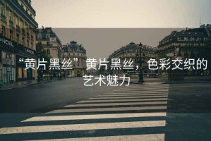 “黃片黑絲”黃片黑絲，色彩交織的藝術(shù)魅力