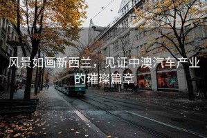 風(fēng)景如畫新西蘭，見(jiàn)證中澳汽車產(chǎn)業(yè)的璀璨篇章