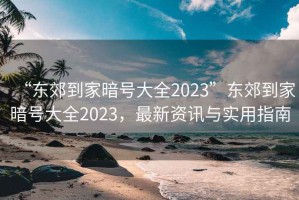 “東郊到家暗號大全2023”東郊到家暗號大全2023，最新資訊與實用指南