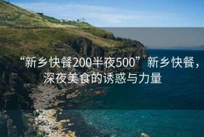 “新鄉快餐200半夜500”新鄉快餐，深夜美食的誘惑與力量