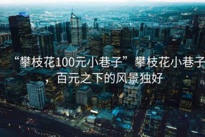 “攀枝花100元小巷子”攀枝花小巷子，百元之下的風景獨好