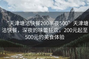 “天津塘沽快餐200半夜500”天津塘沽快餐，深夜的味蕾狂歡，200元起至500元的美食體驗