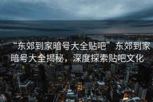 “東郊到家暗號(hào)大全貼吧”東郊到家暗號(hào)大全揭秘，深度探索貼吧文化
