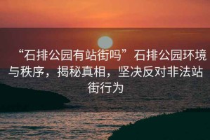“石排公園有站街嗎”石排公園環境與秩序，揭秘真相，堅決反對非法站街行為