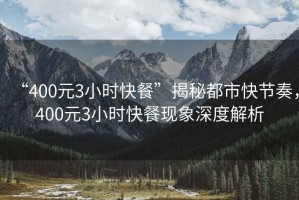“400元3小時快餐”揭秘都市快節奏，400元3小時快餐現象深度解析