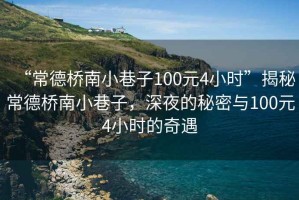 “常德橋南小巷子100元4小時”揭秘常德橋南小巷子，深夜的秘密與100元4小時的奇遇