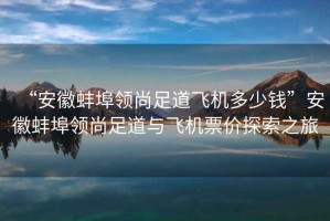 “安徽蚌埠領尚足道飛機多少錢”安徽蚌埠領尚足道與飛機票價探索之旅