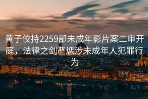 黃子佼持2259部未成年影片案二審開庭，法律之劍嚴(yán)懲涉未成年人犯罪行為