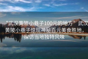 “武漢黃陂小巷子100元的地方”武漢黃陂小巷子驚現神秘百元美食勝地，探訪當地獨特風味
