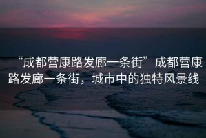 “成都營康路發廊一條街”成都營康路發廊一條街，城市中的獨特風景線