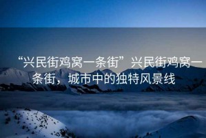 “興民街雞窩一條街”興民街雞窩一條街，城市中的獨特風景線