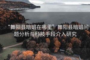 “舞陽縣暗娼在哪里”舞陽縣暗娼問題分析與科技手段介入研究