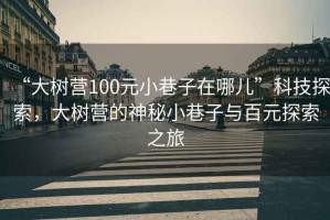 “大樹營(yíng)100元小巷子在哪兒”科技探索，大樹營(yíng)的神秘小巷子與百元探索之旅