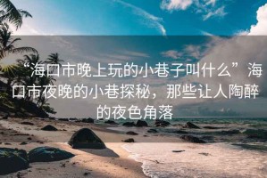 “海口市晚上玩的小巷子叫什么”海口市夜晚的小巷探秘，那些讓人陶醉的夜色角落