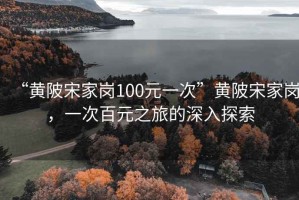 “黃陂宋家崗100元一次”黃陂宋家崗，一次百元之旅的深入探索