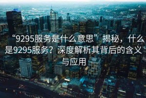 “9295服務是什么意思”揭秘，什么是9295服務？深度解析其背后的含義與應用