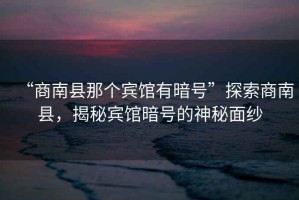 “商南縣那個賓館有暗號”探索商南縣，揭秘賓館暗號的神秘面紗