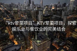 “ktv葷菜項目”KTV葷菜項目，探索娛樂業與餐飲業的完美結合