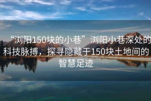 “瀏陽150塊的小巷”瀏陽小巷深處的科技脈搏，探尋隱藏于150塊土地間的智慧足跡