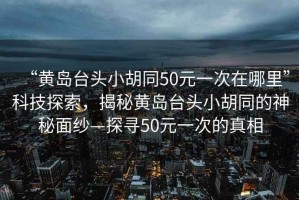 “黃島臺頭小胡同50元一次在哪里”科技探索，揭秘黃島臺頭小胡同的神秘面紗—探尋50元一次的真相