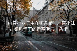 “甪直小妹集中在哪條街”甪直小妹，古鎮風情下的青春活力一條街
