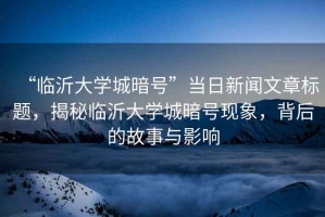 “臨沂大學城暗號”當日新聞文章標題，揭秘臨沂大學城暗號現象，背后的故事與影響