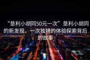 “墾利小胡同50元一次”墾利小胡同的新發現，一次獨特的體驗探索背后的故事