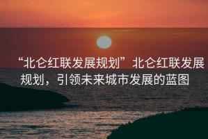 “北侖紅聯(lián)發(fā)展規(guī)劃”北侖紅聯(lián)發(fā)展規(guī)劃，引領(lǐng)未來城市發(fā)展的藍(lán)圖