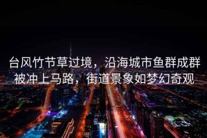 臺風竹節草過境，沿海城市魚群成群被沖上馬路，街道景象如夢幻奇觀