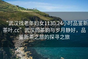 “武漢找老年婦女1130.24小時品鑒新茶葉.cc”武漢的茶韻與歲月靜好，品鑒新茶之旅的探尋之旅