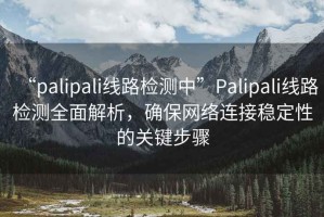 “palipali線路檢測中”Palipali線路檢測全面解析，確保網絡連接穩定性的關鍵步驟