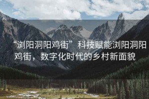 “瀏陽(yáng)洞陽(yáng)雞街”科技賦能瀏陽(yáng)洞陽(yáng)雞街，數(shù)字化時(shí)代的鄉(xiāng)村新面貌
