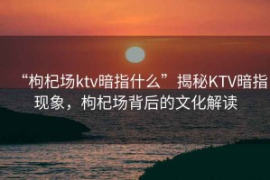 “枸杞場ktv暗指什么”揭秘KTV暗指現象，枸杞場背后的文化解讀