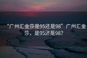 “廣州匯金莎是95還是98”廣州匯金莎，是95還是98？