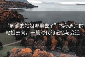 “周浦的站姐哪里去了”揭秘周浦的站姐去向，一段時代的記憶與變遷