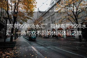 “東莞9598場水匯”揭秘東莞9598水匯，一場與眾不同的休閑體驗之旅