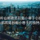 “大嶺山郵政局后面小巷子小姐”大嶺山郵政局后面小巷子的獨特風情