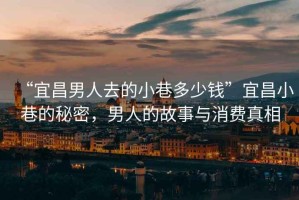 “宜昌男人去的小巷多少錢”宜昌小巷的秘密，男人的故事與消費真相